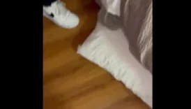Karı Resmen Çok Büyük Diye Ağlıyor Kocası Tesli Ediyor Entersan Bi Ortam