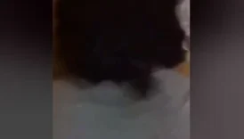 Tecavüz Eder Gibi Sik Beni Aşkım