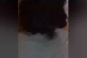 Tecavüz Eder Gibi Sik Beni Aşkım