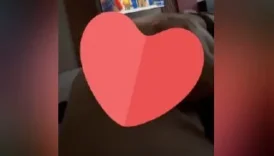 Geçenlerde de eşek gibi anıran bir hatun paylaşmıştık