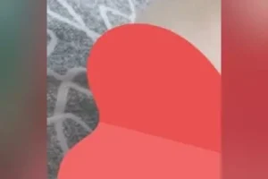 Hatunu bağırta bağırta götünden sikiyor