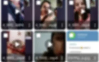Livu dan düşen videolar