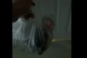 Yemek Siparişi Geldi Diyerek Lavaboya Giriyor